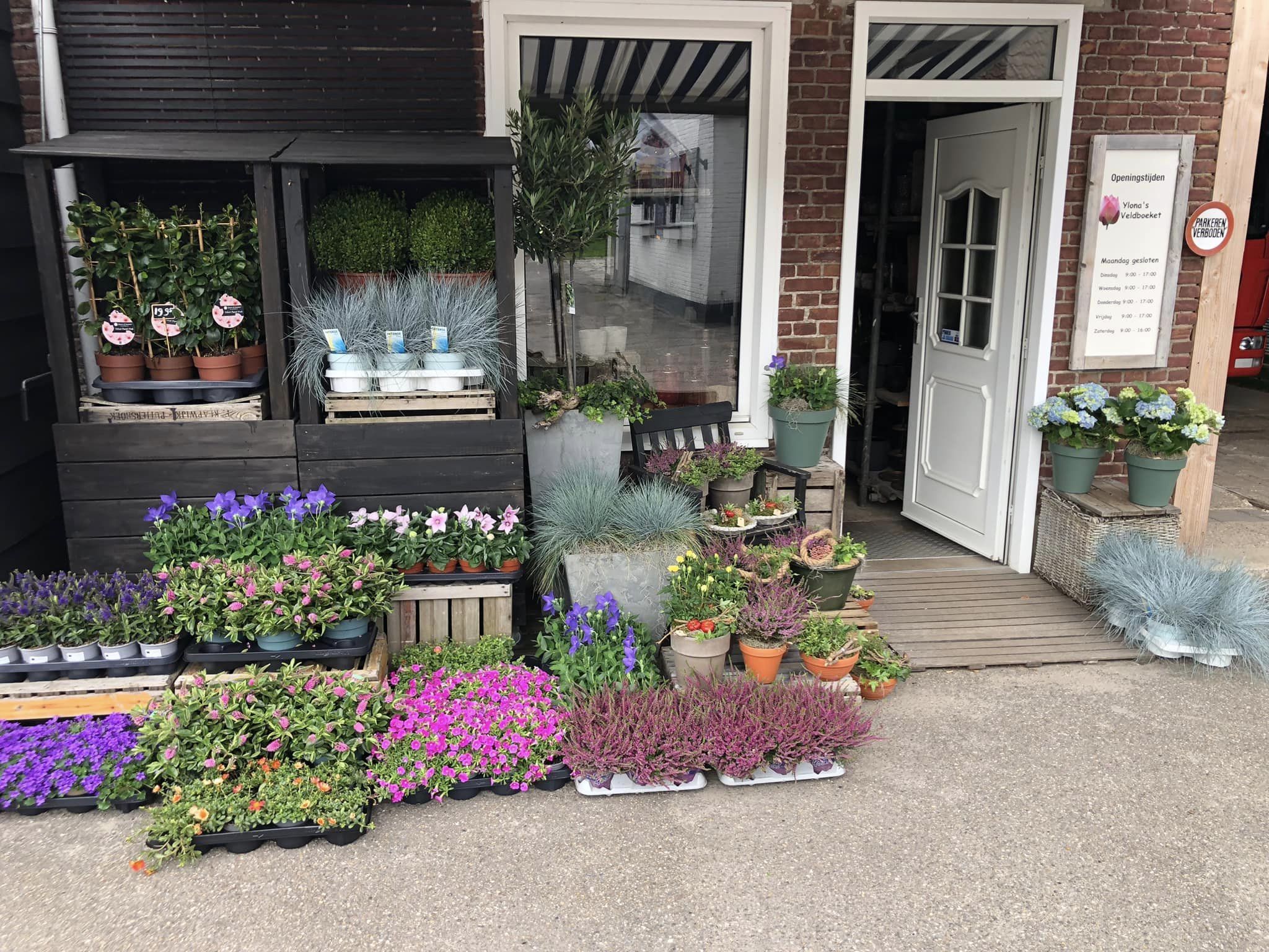 Bloemenwinkel Hoeksche Waard
